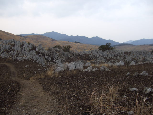 特別天然記念物・秋吉台７１の写真の写真