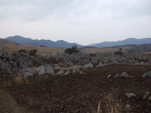 特別天然記念物・秋吉台７２の写真の写真