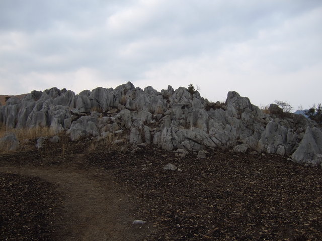 特別天然記念物・秋吉台７３の写真の写真