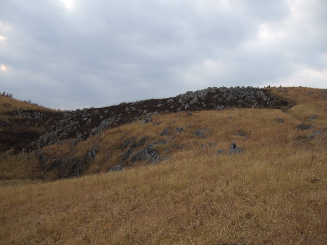 特別天然記念物・秋吉台７５の写真の写真