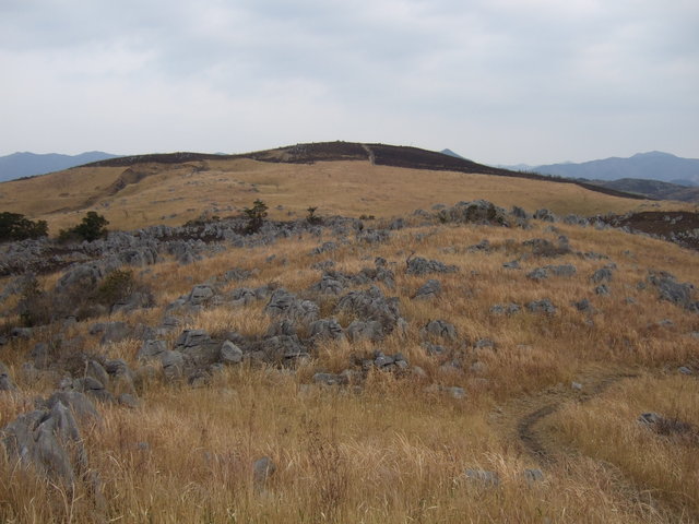 特別天然記念物・秋吉台７６の写真の写真