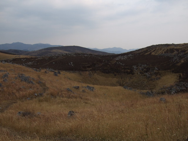 特別天然記念物・秋吉台７７の写真の写真