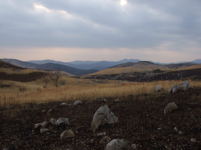 特別天然記念物・秋吉台８０の写真の写真