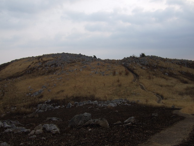 特別天然記念物・秋吉台８１の写真の写真