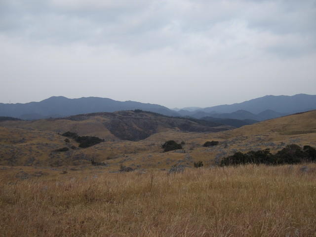 特別天然記念物・秋吉台８３の写真の写真