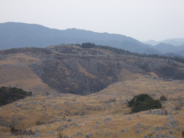 特別天然記念物・秋吉台８４の写真の写真