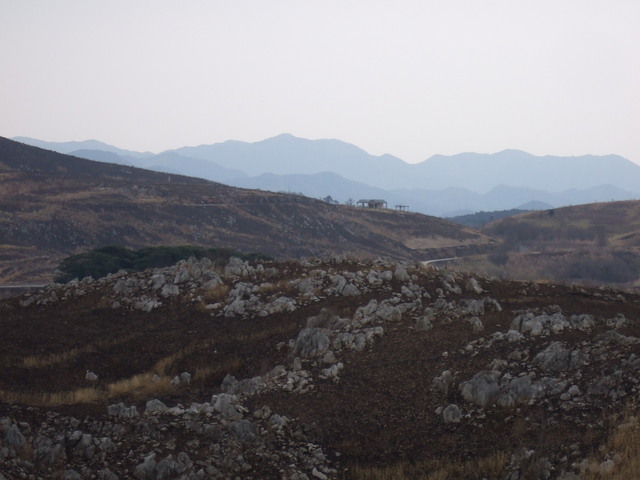 特別天然記念物・秋吉台８９の写真の写真