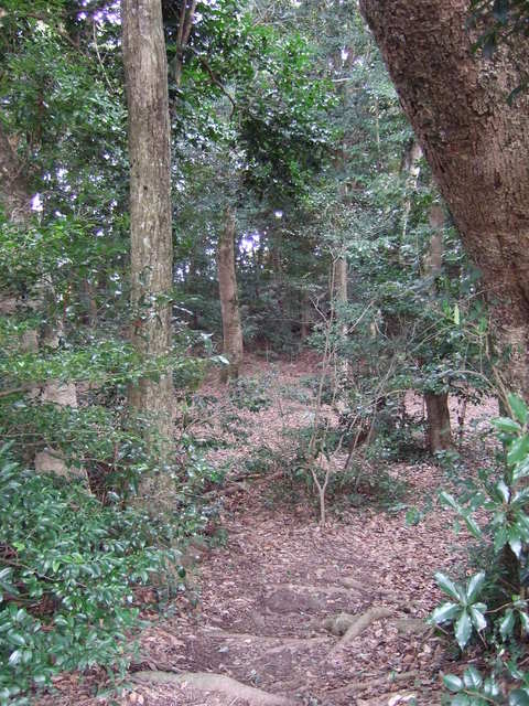 特別天然記念物・秋吉台９４の写真の写真