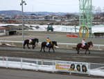 北海道遺産・ばんえい競馬・ゲートに向かうばん馬