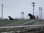 北海道遺産・ばんえい競馬・遅い馬はまだ第二の坂道の途中