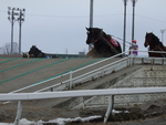 北海道遺産・ばんえい競馬・ほかの馬も坂道に突入