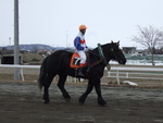 北海道遺産・ばんえい競馬２