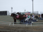 北海道遺産・ばんえい競馬７