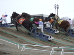 北海道遺産・ばんえい競馬１２