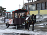 北海道遺産・ばんえい競馬・ばん馬が引っ張る観光用の馬車