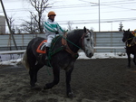 北海道遺産・ばんえい競馬１７