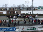 北海道遺産・ばんえい競馬２３