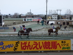 北海道遺産・ばんえい競馬・整備中のトラックの脇を通ってゲートに向かう