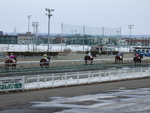 北海道遺産・ばんえい競馬２６