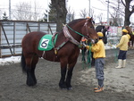 北海道遺産・ばんえい競馬