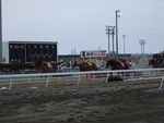北海道遺産・ばんえい競馬３０