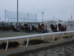 北海道遺産・ばんえい競馬３２