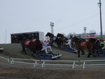 北海道遺産・ばんえい競馬３６