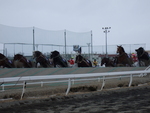 北海道遺産・ばんえい競馬４３