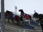 北海道遺産・ばんえい競馬４７