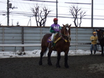 北海道遺産・ばんえい競馬５７