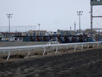 北海道遺産・ばんえい競馬・ゲートが開いた直後