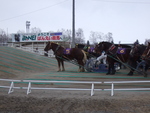 北海道遺産・ばんえい競馬・速い馬は第二の坂道に到着