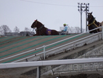 北海道遺産・ばんえい競馬・あまりの重さに座り込むばんば