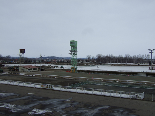 北海道遺産・ばんえい競馬・出走前の平穏の写真の写真