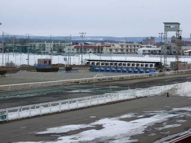 北海道遺産・ばんえい競馬・第一の坂道とゲートの写真の写真