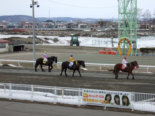北海道遺産・ばんえい競馬・ゲートに向かうばん馬の写真の写真
