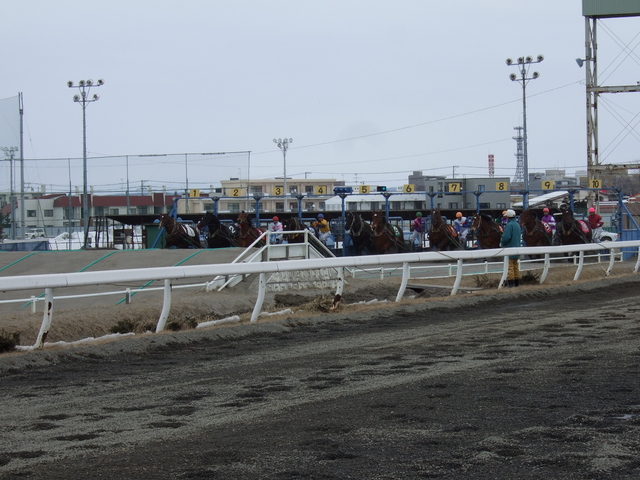 北海道遺産・ばんえい競馬・出走開始の写真の写真