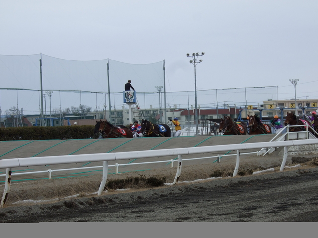 北海道遺産・ばんえい競馬・第一の坂を一気に上るの写真の写真