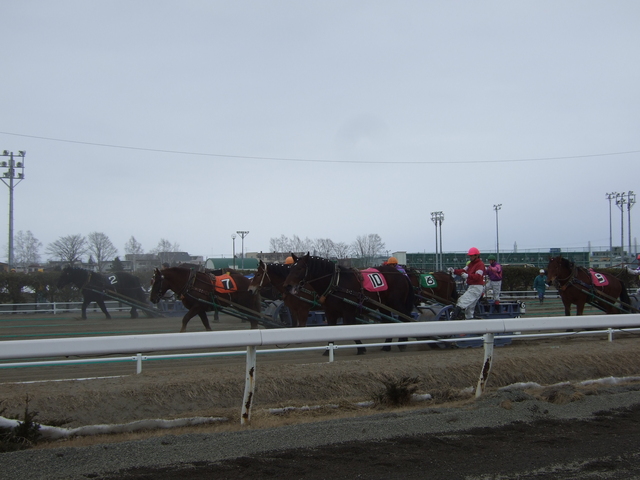 北海道遺産・ばんえい競馬・砂地をゆっくりと進むの写真の写真
