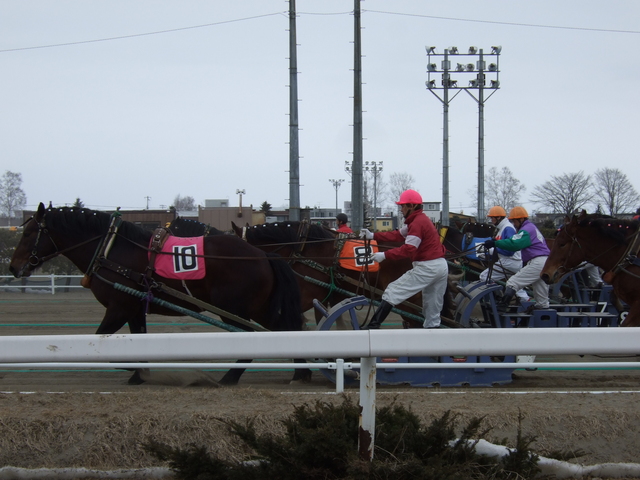 北海道遺産・ばんえい競馬・レースはスローペースで続くの写真の写真