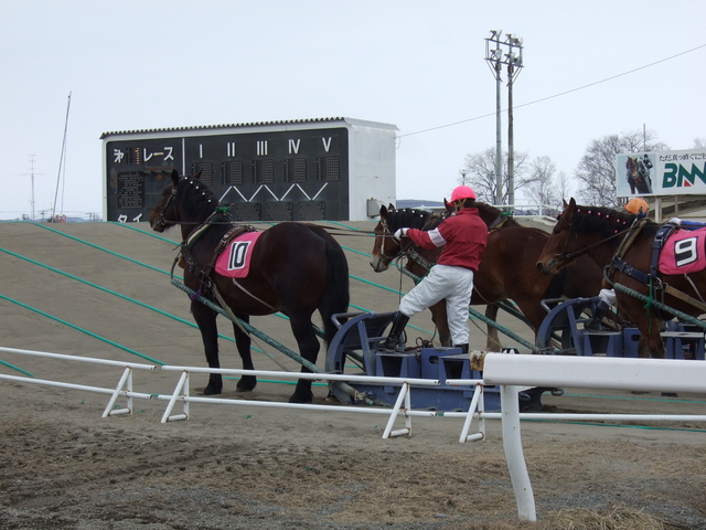 北海道遺産・ばんえい競馬・第二の坂道で横並びの写真の写真