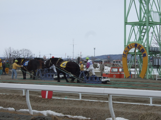 北海道遺産・ばんえい競馬・ようやく最後の馬がゴールの写真の写真