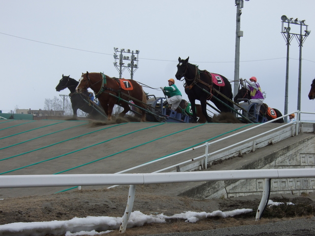 北海道遺産・ばんえい競馬・あともう一歩の写真の写真