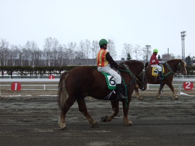 北海道遺産・ばんえい競馬１の写真の写真