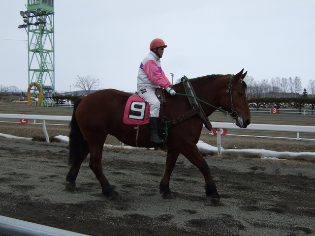 北海道遺産・ばんえい競馬３の写真の写真