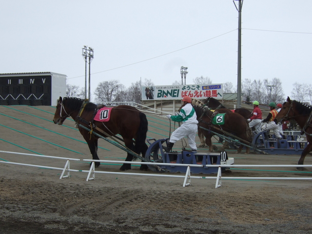 北海道遺産・ばんえい競馬５の写真の写真
