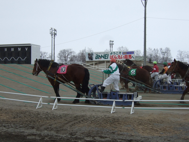 北海道遺産・ばんえい競馬５の写真の写真
