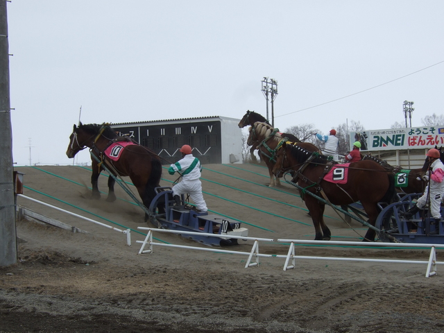 北海道遺産・ばんえい競馬８の写真の写真