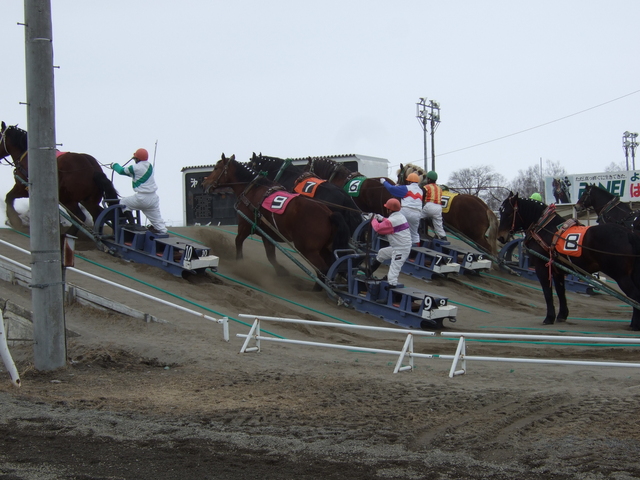 北海道遺産・ばんえい競馬１０の写真の写真