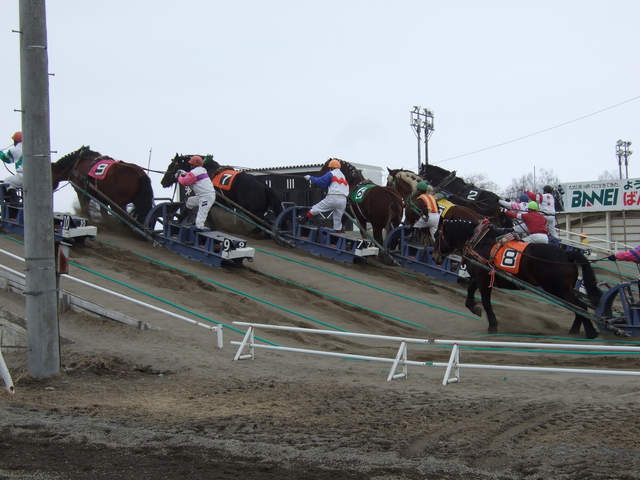 北海道遺産・ばんえい競馬１１の写真の写真